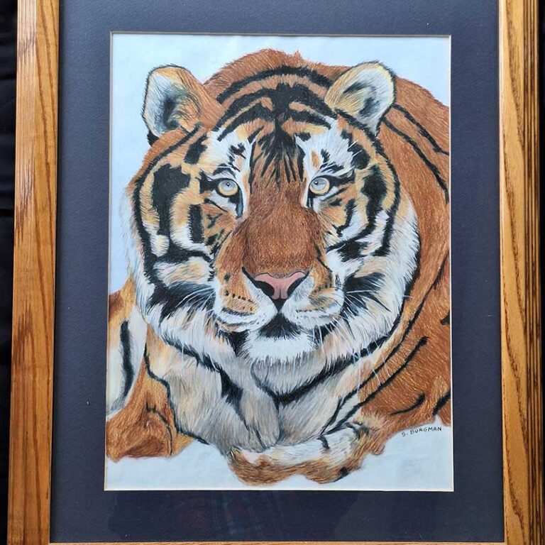 Tiger Tiger Tiger Tiger artwork image