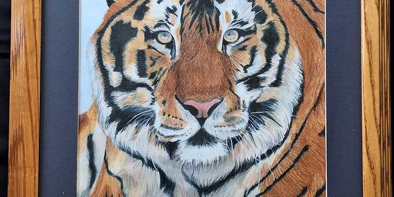 Tiger Tiger artwork image