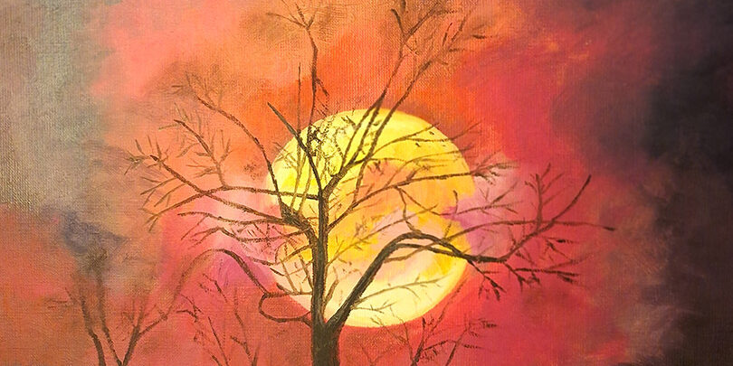 Image of a winter tree in moonlight